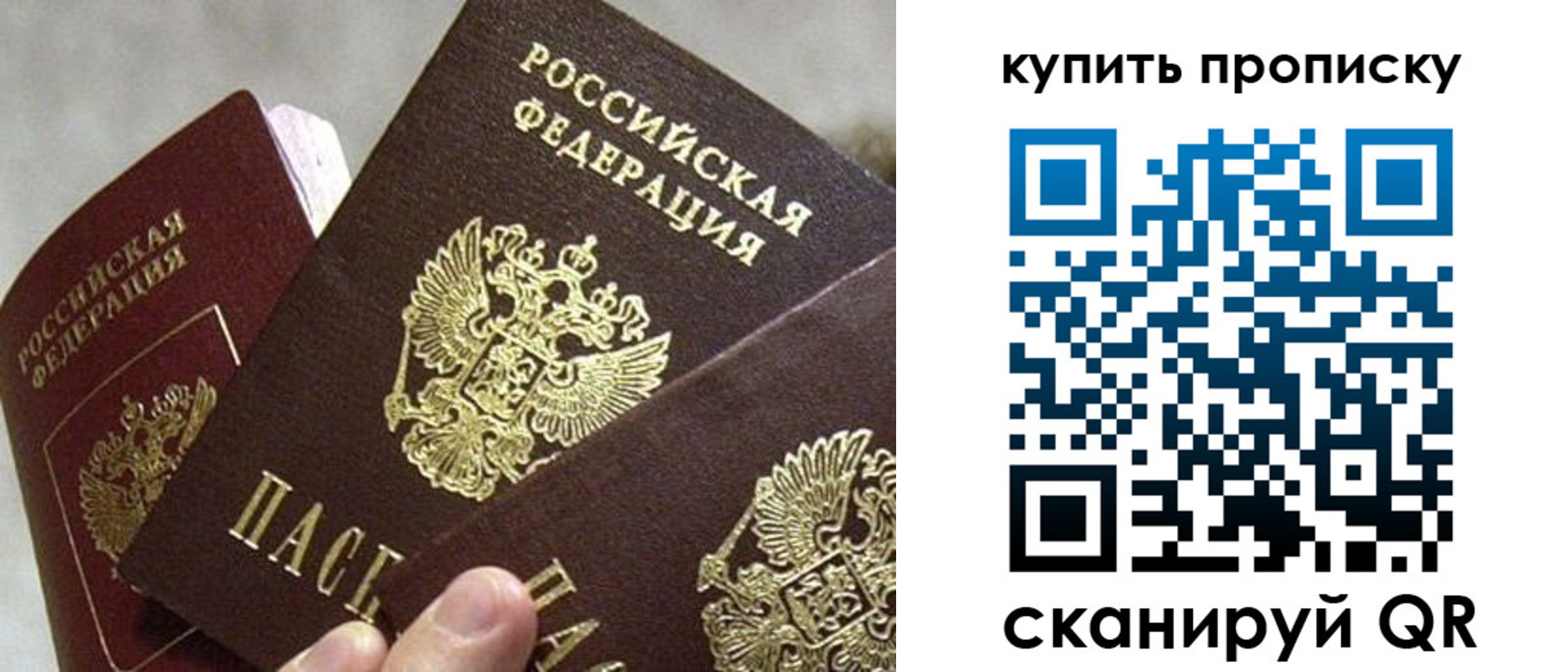 прописка для школы в Краснодаре